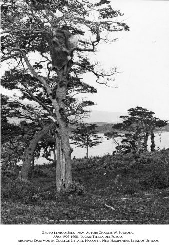 Imagen tomada en picado, el grupo en el centro se confunde con el terreno