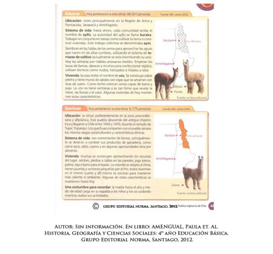 Sin embargo, aqul volvemos a ver los mismos iconos asociacios el mundo andino, despojando al nortino de su Individualidad y existencia real