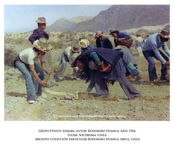 Utilización de la Chonta, chuco utilizado para preparar la tierra de la siembra