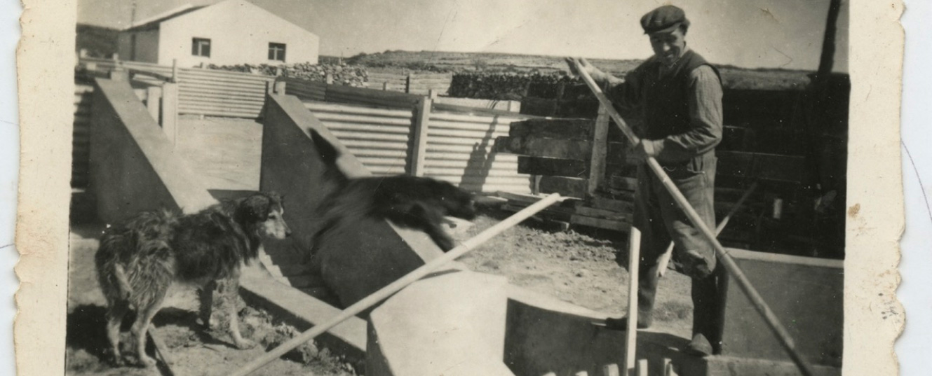 un hombre, un perro, un gato