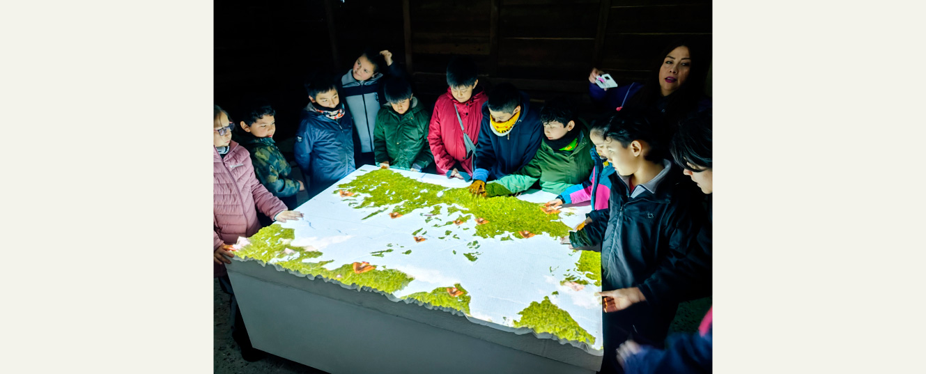 grupo de niños en videomapping