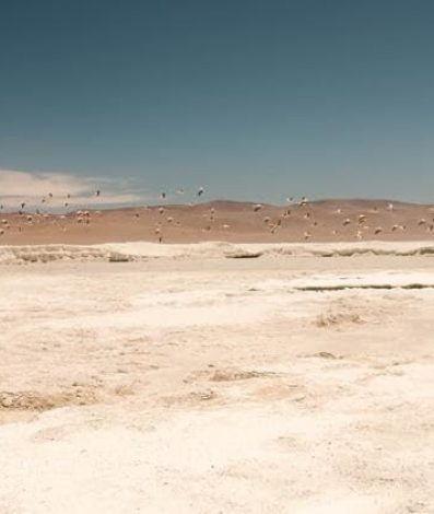 MV5BNGViMjJjMTgtMGNjMS00MjkxLTlmNmQtODgyMTA4Yjg2YzMyXkEyXkFqcGc@._V1_FMjpg_UX750_